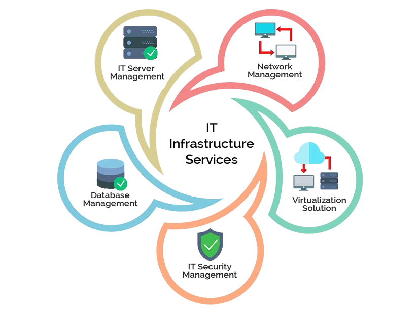 Custom Software Development